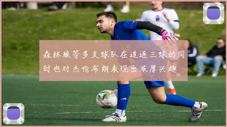 森林狼等多支球队在追逐三球的同时也对杰伦布朗表现出浓厚兴趣